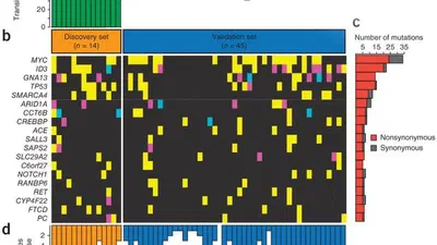 The genetic landscape of mutations in Burkitt lymphoma. featured image